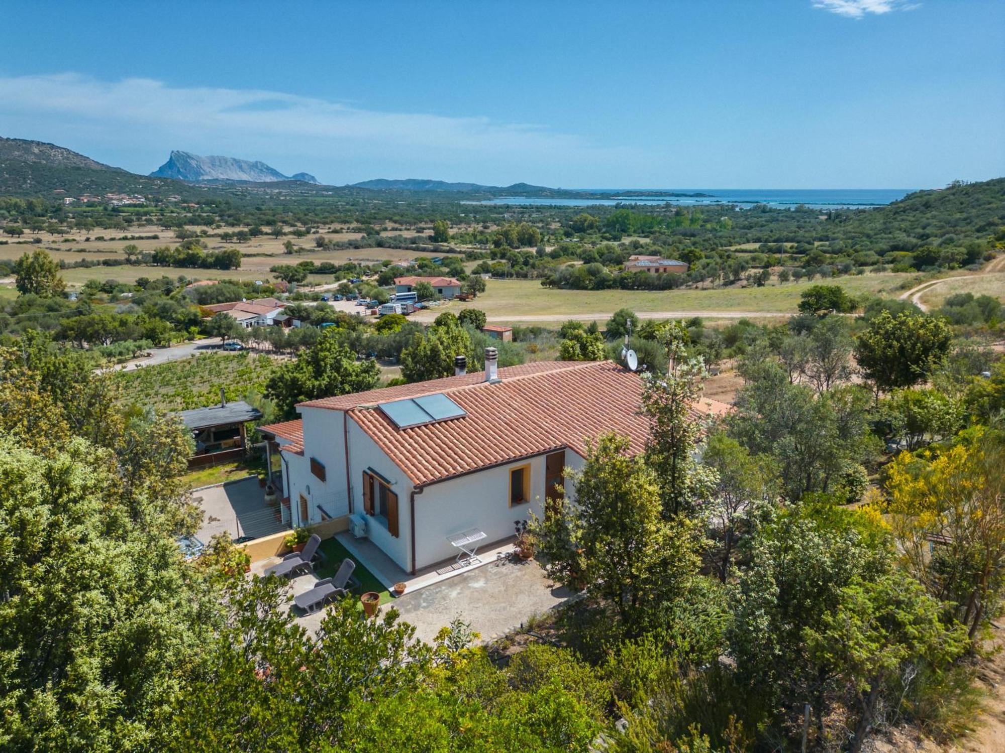 Lu Lioni La Casa In Collina - Affittacamere Con Vista Mare מראה חיצוני תמונה